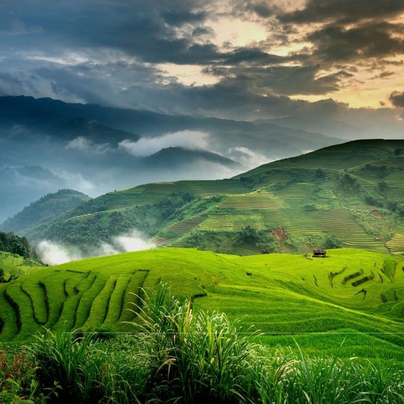Mysore Ooty Coorg tour package from Mysore - Multi-day trip with taxi services in Mysore