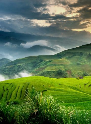 Mysore to Coorg tour package from Mysore - 1–2 days trip with taxi services in Mysore